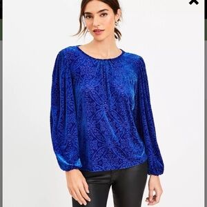 Talbots Velvet Burnout Mosaic Long Sleeve Floral Blouse Royal Blue Size LARGE